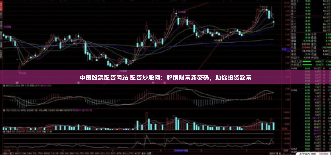 中国股票配资网站 配资炒股网：解锁财富新密码，助你投资致富