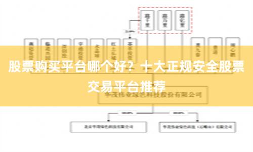股票购买平台哪个好？十大正规安全股票交易平台推荐
