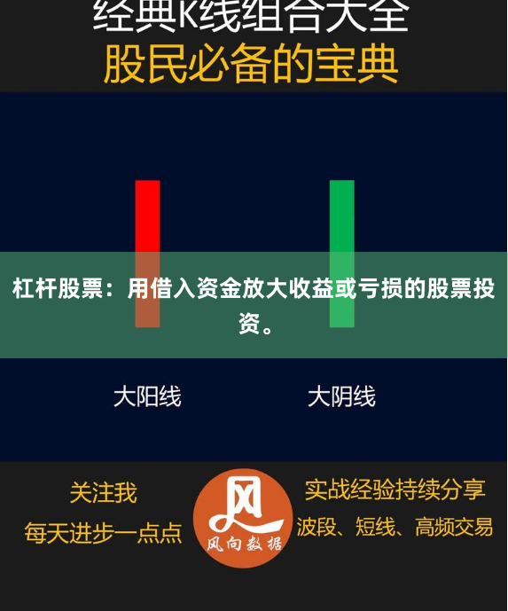 杠杆股票：用借入资金放大收益或亏损的股票投资。