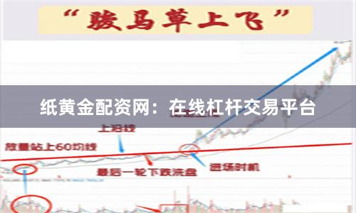 纸黄金配资网：在线杠杆交易平台