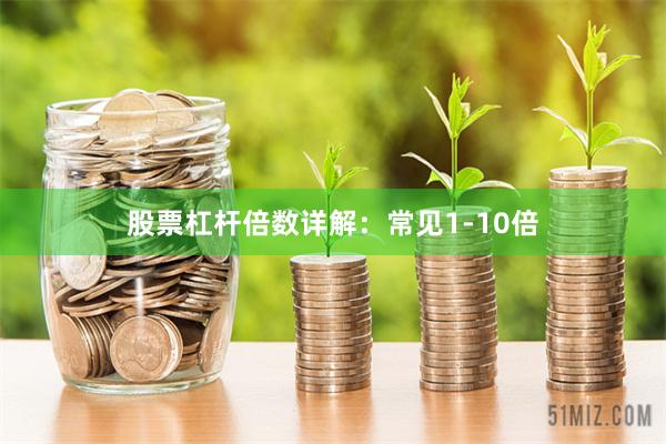 股票杠杆倍数详解：常见1-10倍